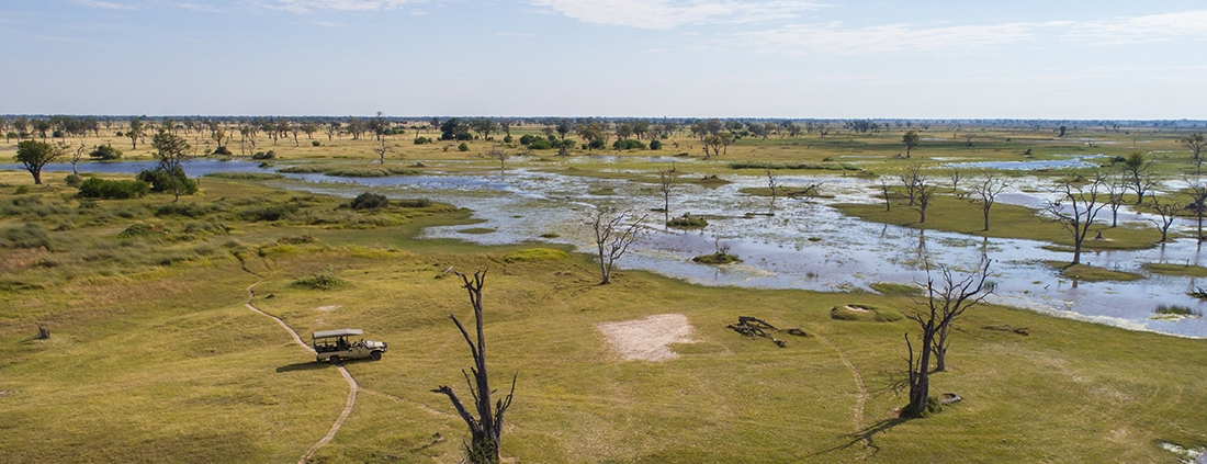 Game Drive en Moremi