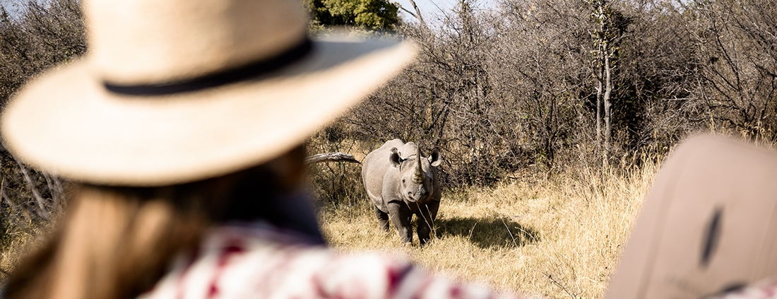 Chief's Camp - Game Drive