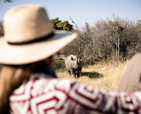 Chief's Camp - Game Drive