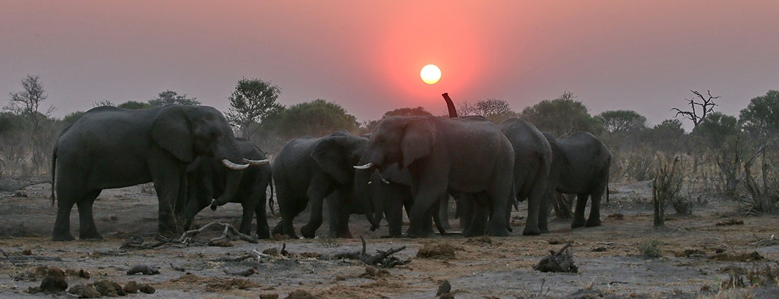 SkyBeds - Waterhole