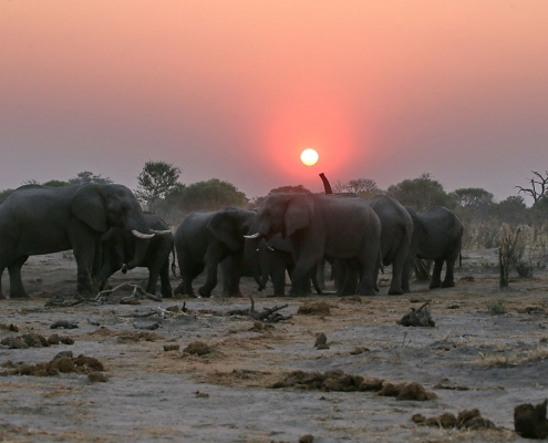 SkyBeds - Waterhole