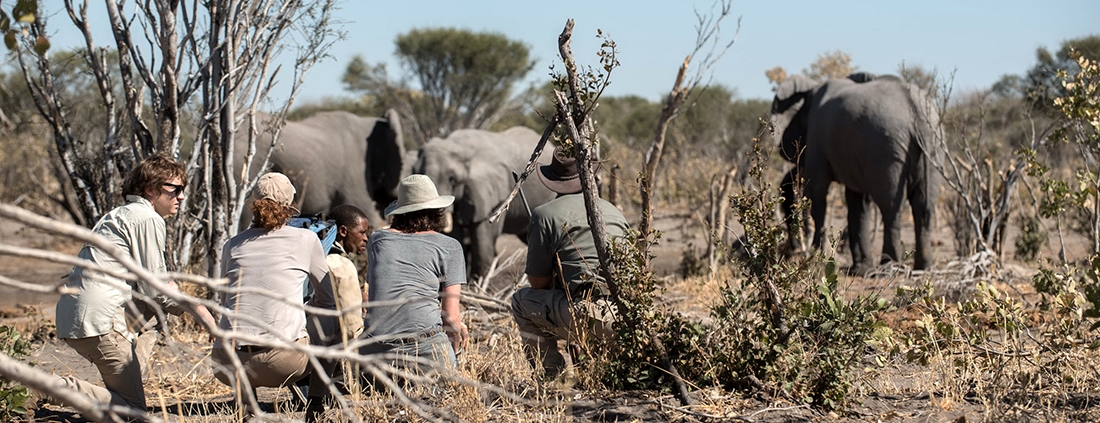 SkyBeds - Walking Safari