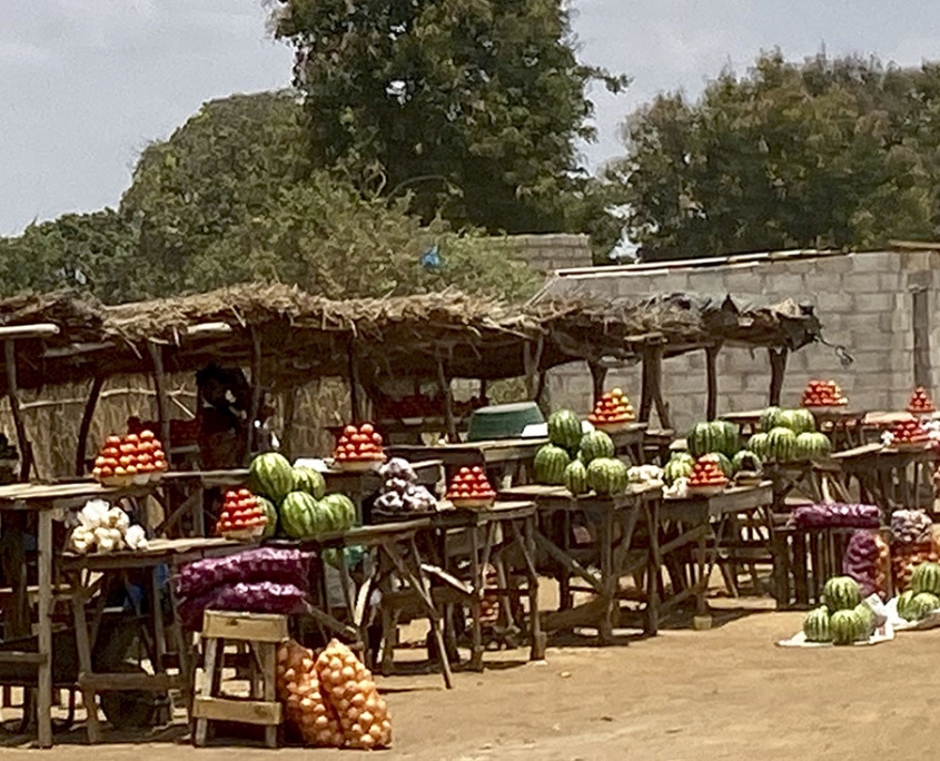 Poblaciones en ruta. Zambia