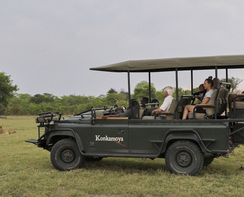 Konkamoya - Safari