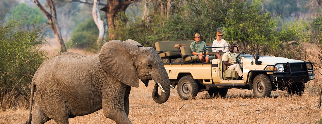 Safari - Luangwa River Camp
