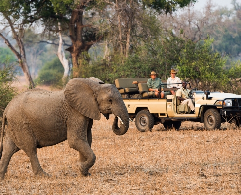 Safari - Luangwa River Camp