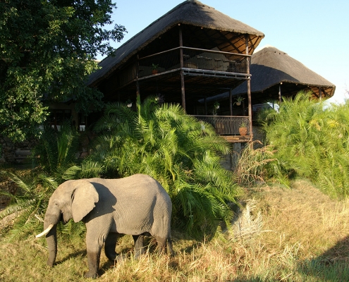 Mukambi Safari Lodge