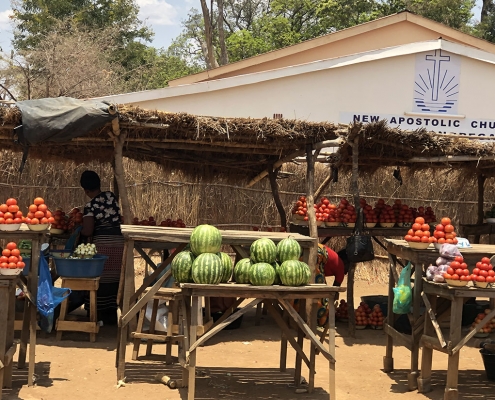 Viaje Zambia - puestos de fruta en la ruta