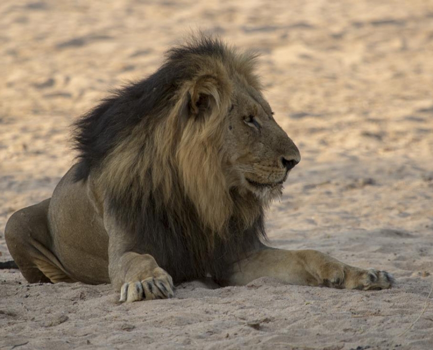 Viaje Zambia 2019 - Lower Zambezi