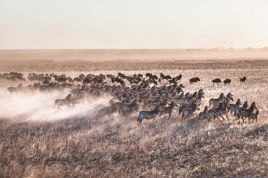 Liuwa Plains - African Parks