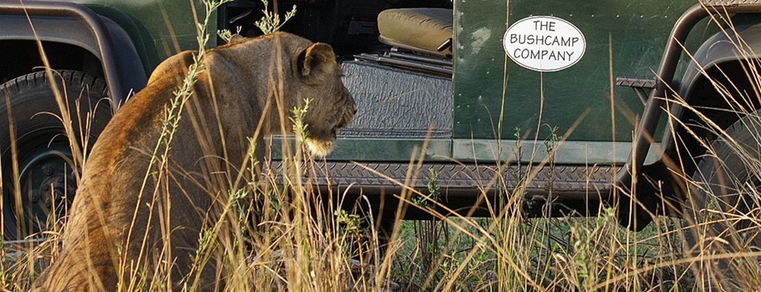 Safari 4x4 - Bilimungwe Bush Camp