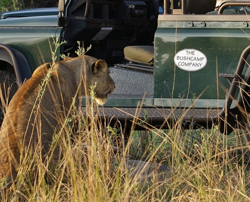 Safari 4x4 - Bilimungwe Bush Camp