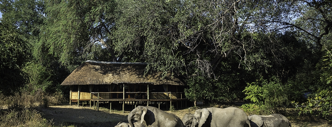 Exterior de Bilimjungwe Bushcamp