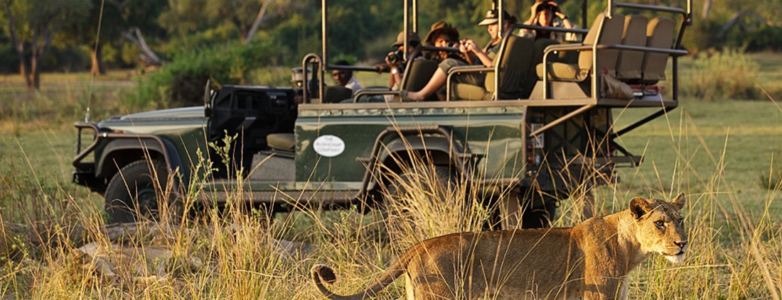 Safari - Chindeni Bushcamp