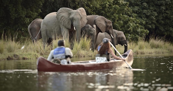 Safari en canoa - Visita en Time + Tide Chongwe River Camp