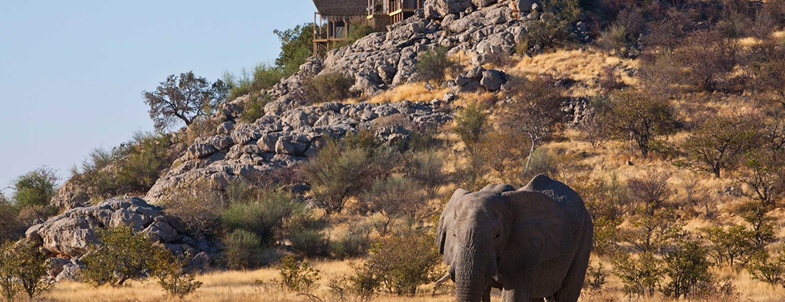 Oeste de Etosha - Dolomite Camp