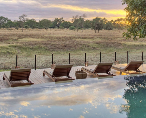 Piscina en Lion Camp