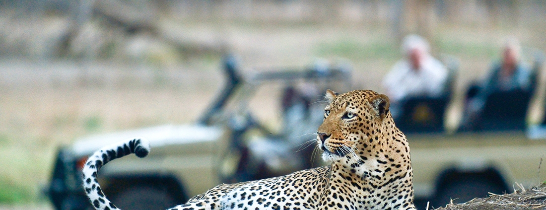 Leopardo Lower Zambezi - Old Mondoro Camp