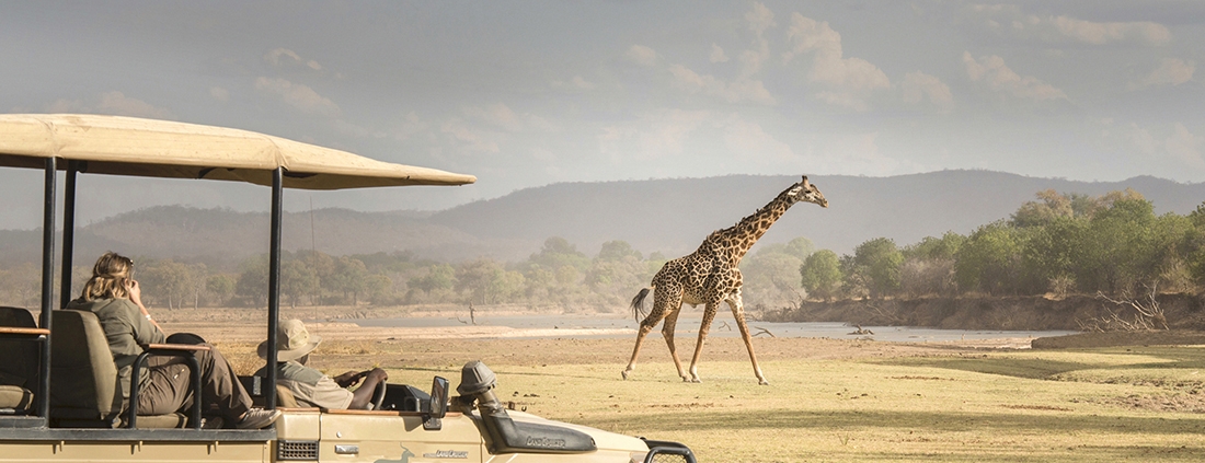 Safari en 4x4 - Puku Ridge Camp - South Luangwa
