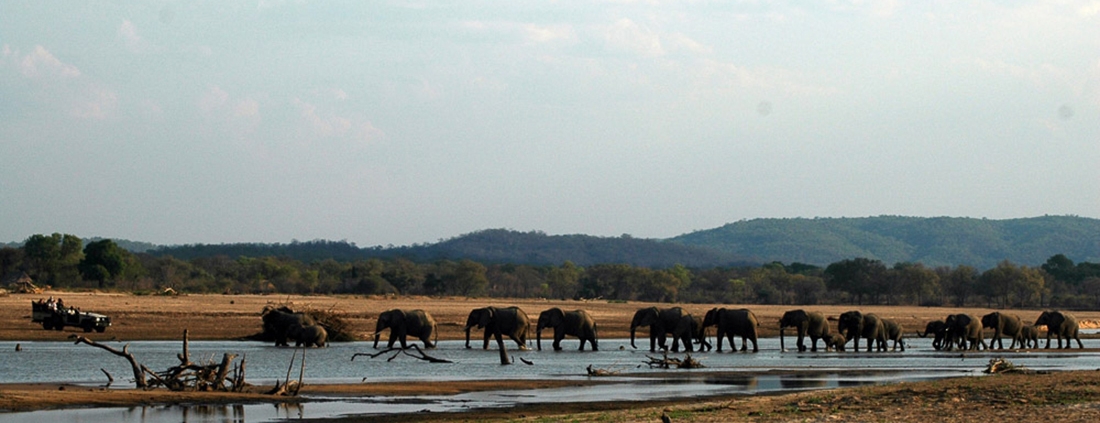 Three Rivers Camp - Safari