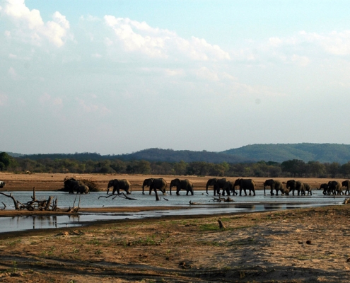 Three Rivers Camp - Safari