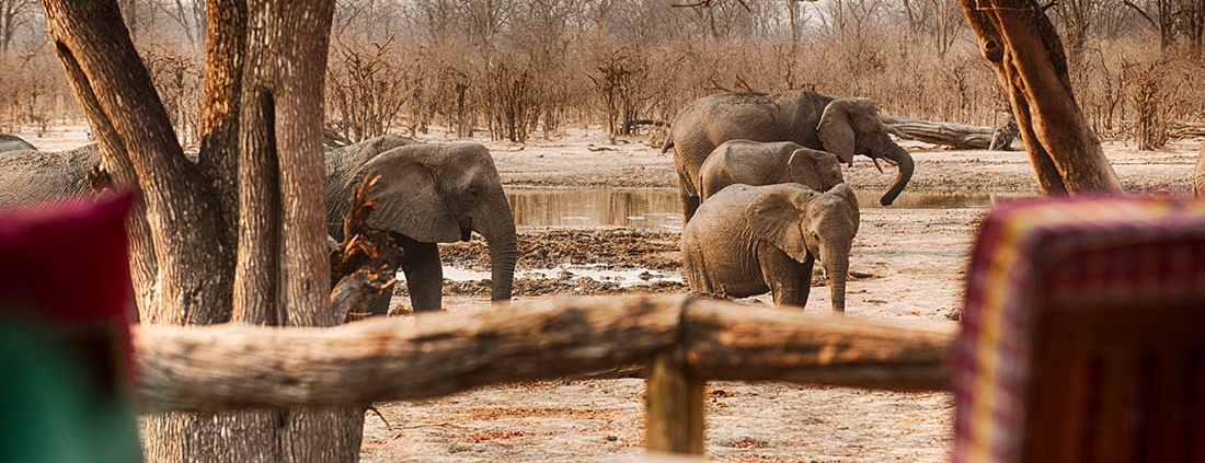 Hyena Pan Tented Camp