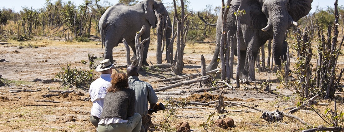Hyena Pan Tented Camp
