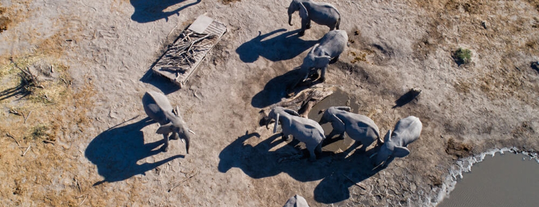 Hyena Pan Tented Camp