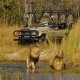 Okuti Game Drive