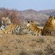 Tiger Canyon - Free State - Sudafrica