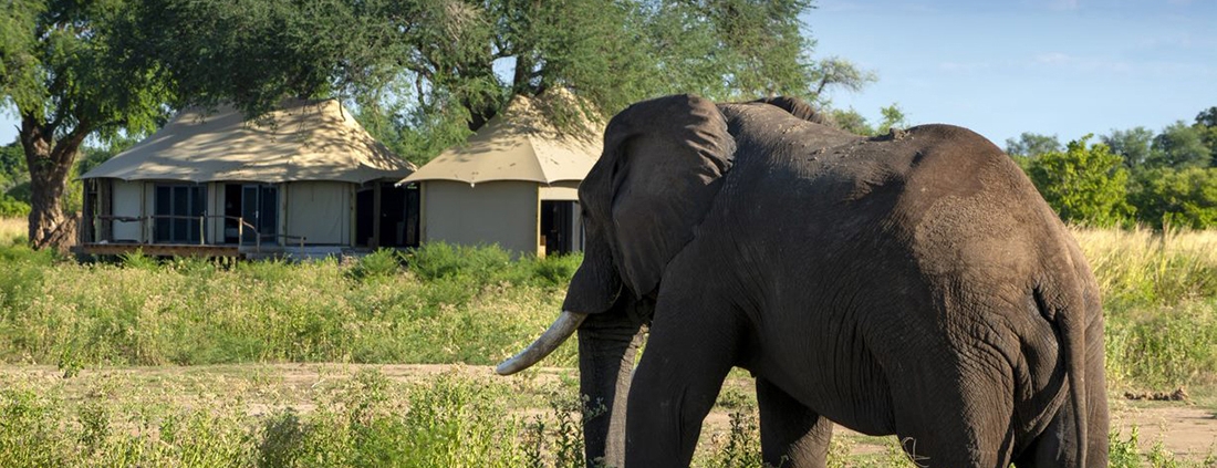 Nyamatusi Camp - Mana Pools