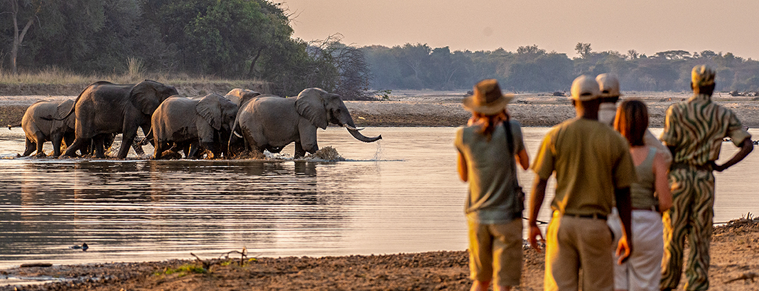 Takwela Camp - En safari