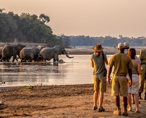 Takwela Camp - En safari