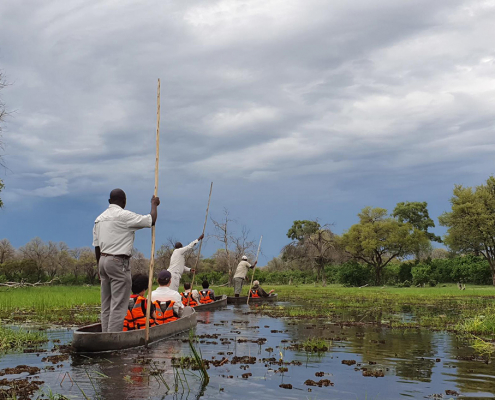 Khwai Leadwood Camp - Safari en mokoro