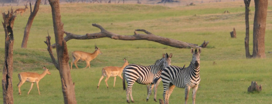 Nanzhila Lake Camp (10)