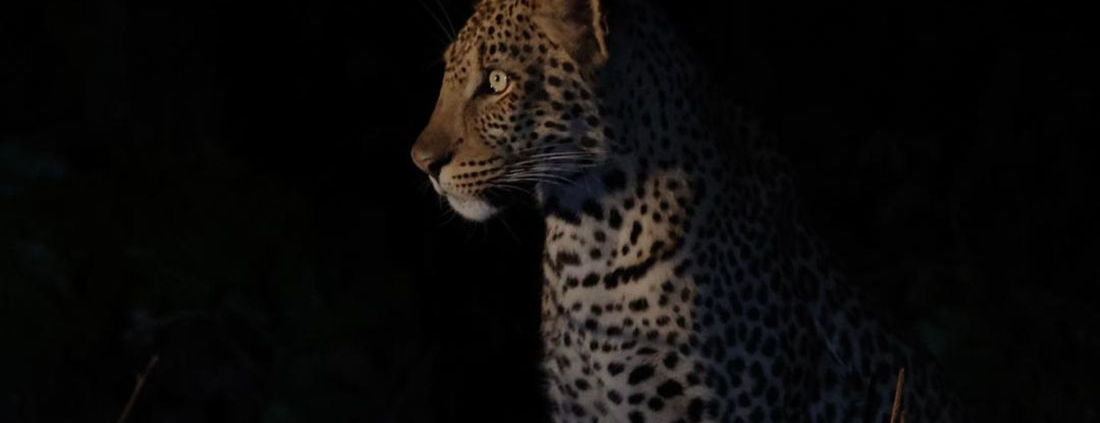 Nanzhila Lake Camp (11)