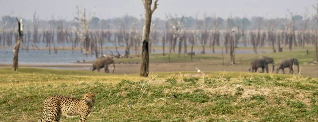 Nanzhila Lake Camp (9)