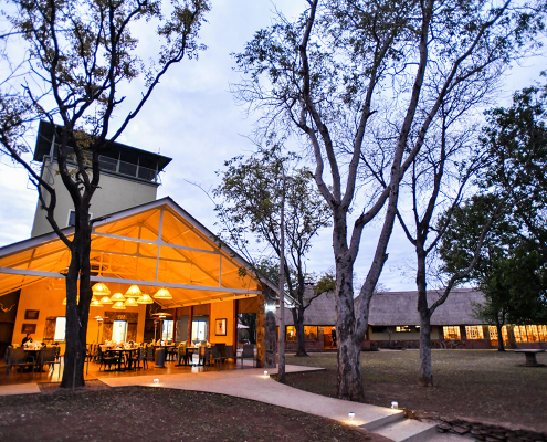 Robins Camp, recepcion